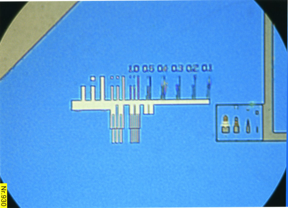 PTB Chip, Enlarged central Section